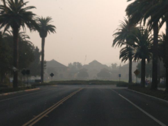 Hazy view of the Stanford oval late Thursday afternoon when the air quality was rated "unhealthy." It worsened Thursday night.