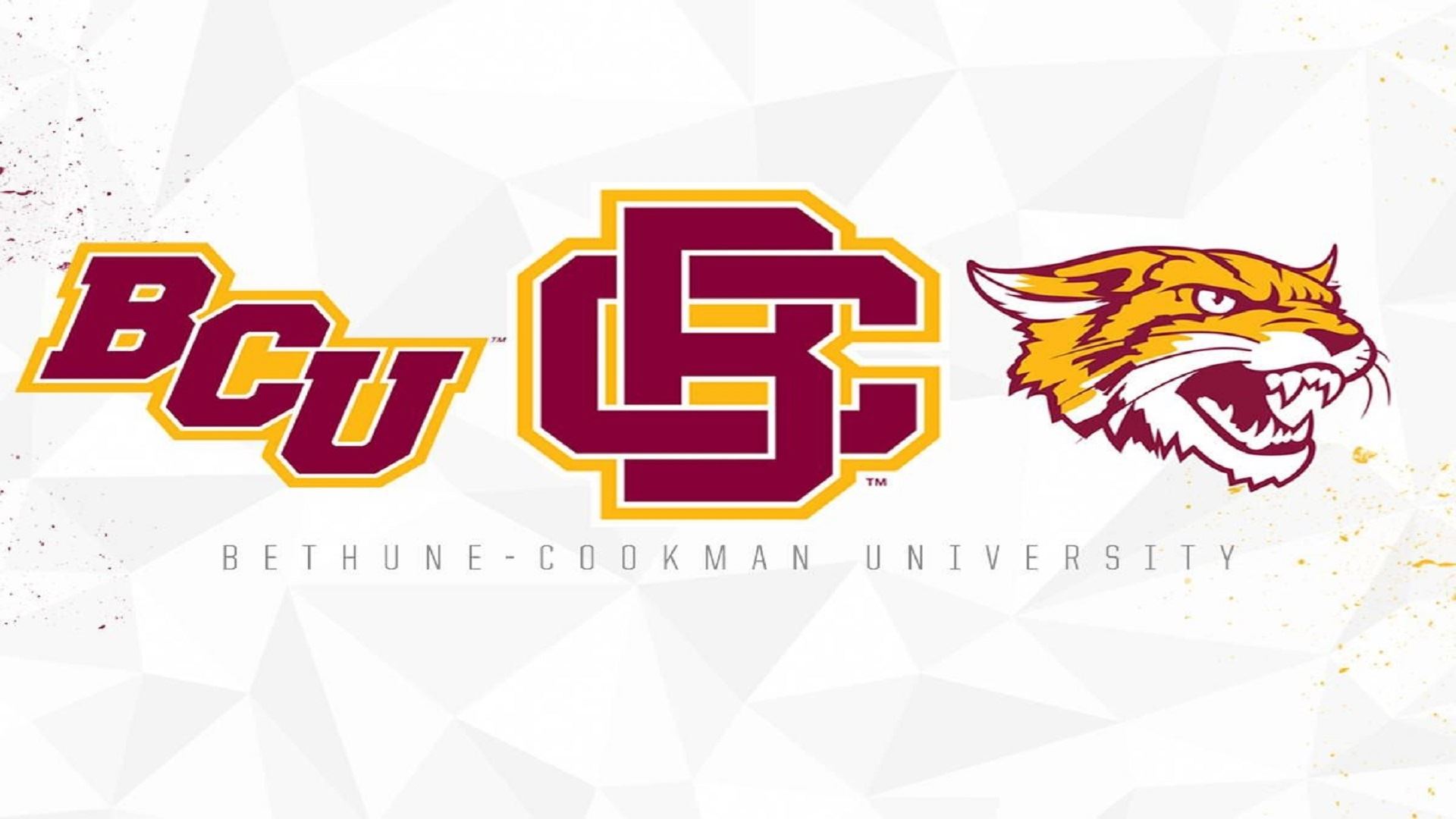 Bethune-Cookman Logo 2020