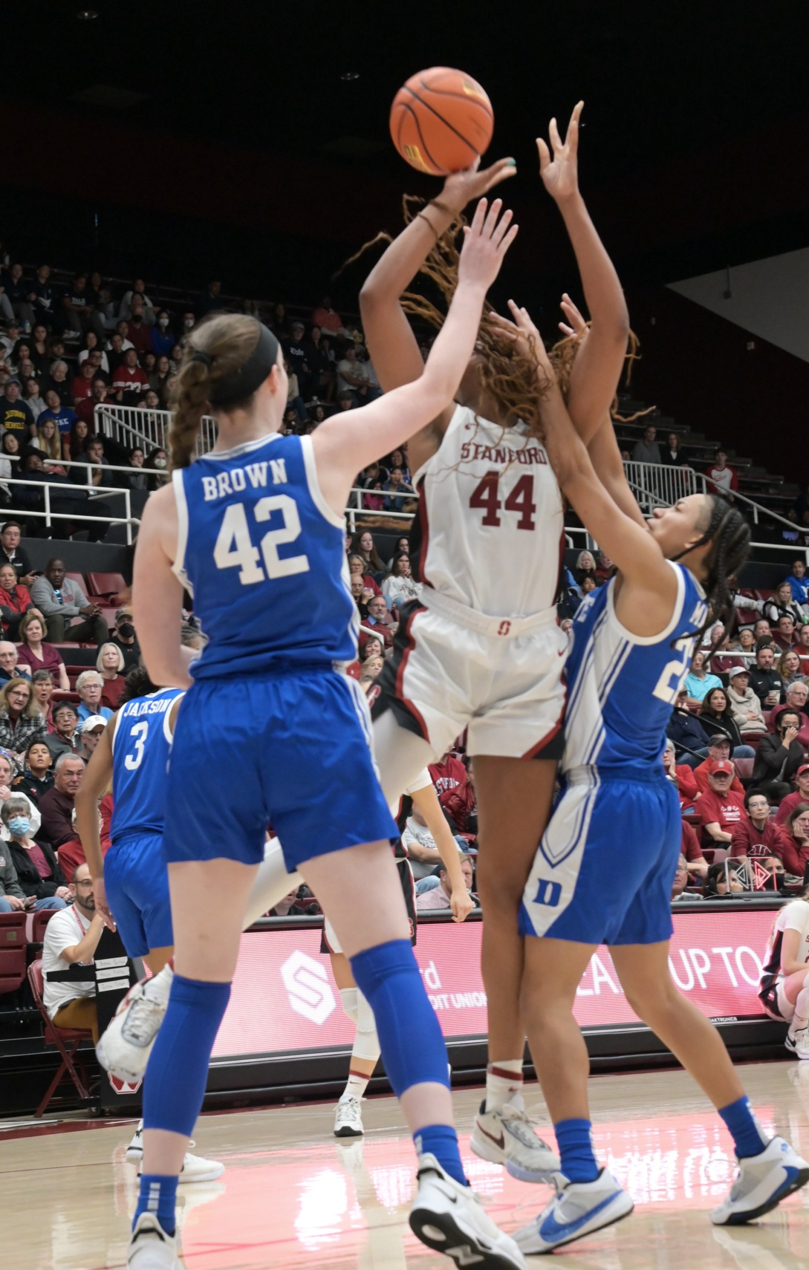 Nov. 19, 2023 (Stanford, Calif.) - Duke at No. 6 Stanford. Photo © Baranduin Briggs.