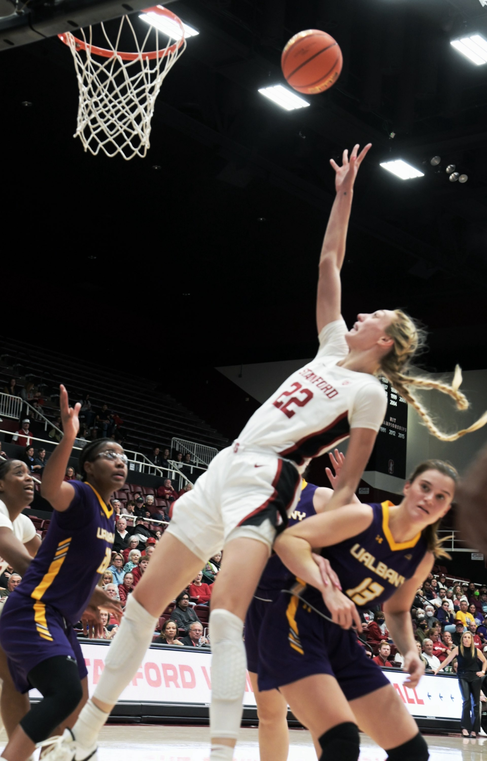 No. 4 Stanford Tames Albany Great Danes, 79-35